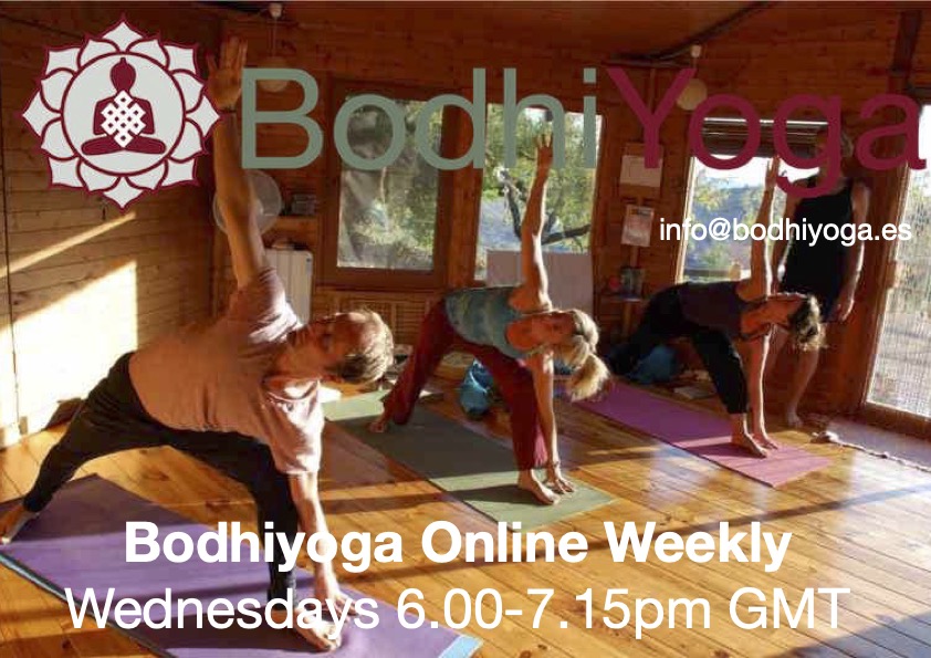 bodhiyoga-weekly-online