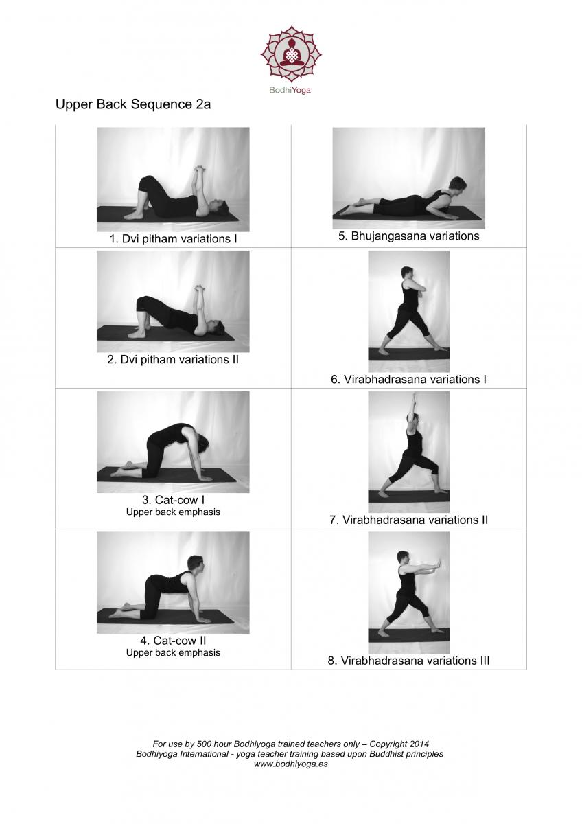 upper back sequence bodhiyoga